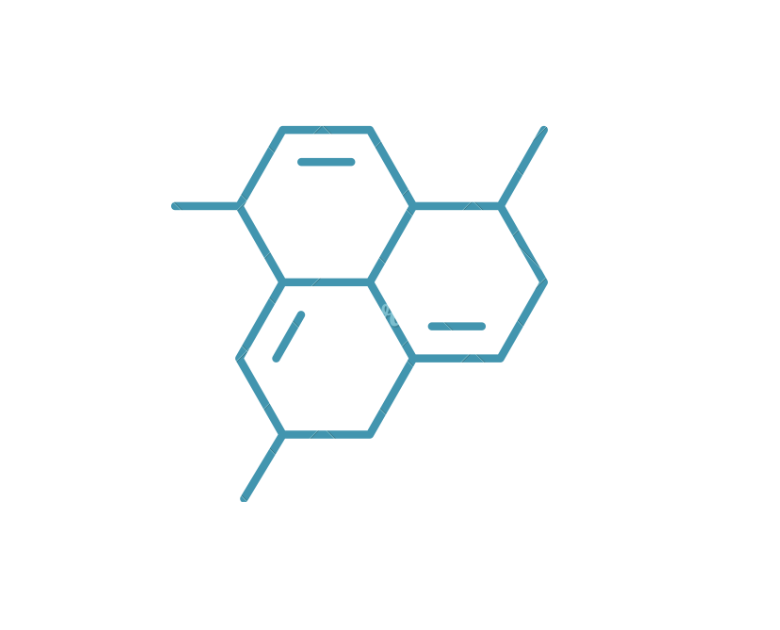 DermResponse Logo